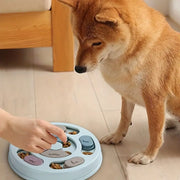 Interactive Dog Slow Feeder & Puzzle Toy – Stimulating Food Hiding Bowl for Smart Training